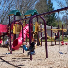 kids on swings
